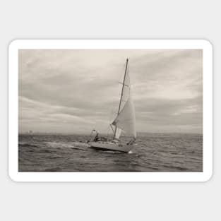 sailboat Sticker